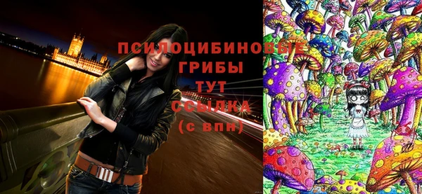 шишки Нефтекумск